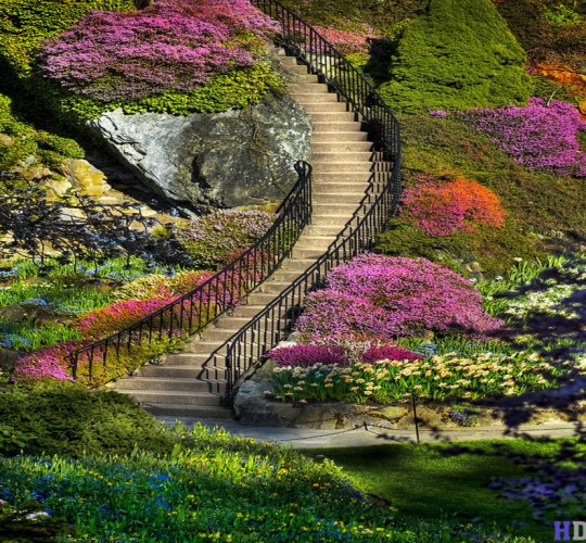 Index of /wp-content/uploads/2014/06